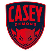 Casey Demons logo