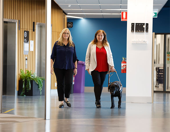 Support staff assisting a student with disability holding a guide dog.